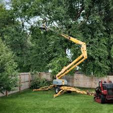 Best Lawn Renovation and Restoration  in Peaceful Valley, WA