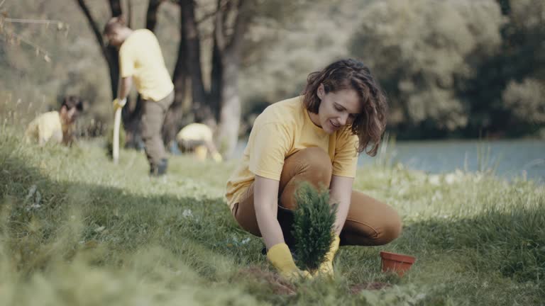 Best Grass Overseeding  in Peaceful Valley, WA