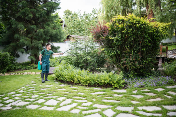 Best Weed Control  in Peaceful Valley, WA
