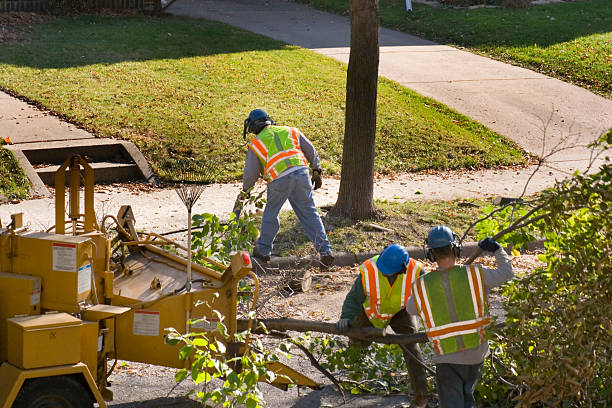 Best Lawn Drainage Solutions  in Peaceful Valley, WA