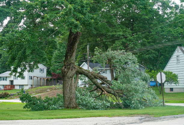 Best Utility Line Clearance  in Peaceful Valley, WA